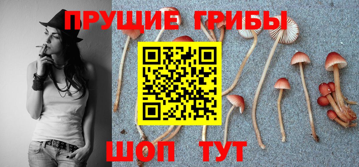 Псилоцибиновые грибы MAGIC MUSHROOMS  Вход с VPN  Холмск 