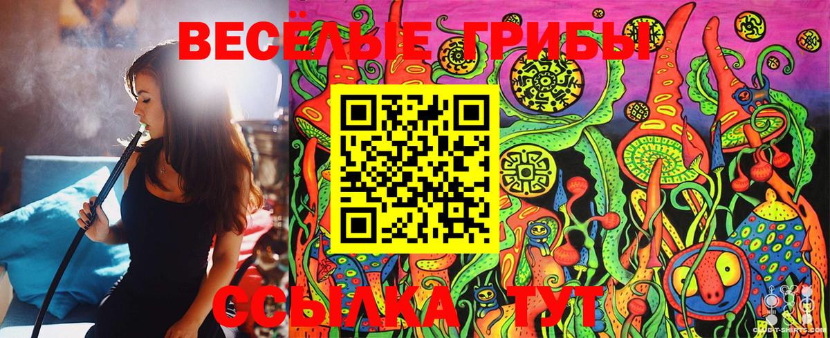 Псилоцибиновые грибы GOLDEN TEACHER Холмск